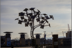 Energy Tree - Bristol Millennium Squarre